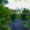Private jungle trail at Sueño Rio Celeste hotel Bijagua, CR.jpg