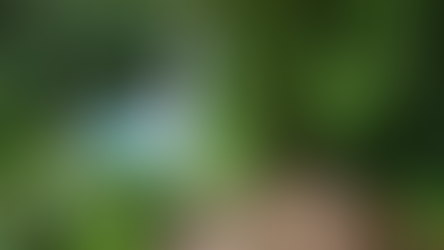 Hiking trail to Rio Celeste Waterfall