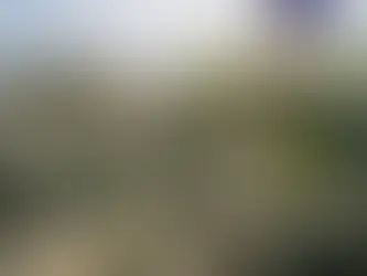 Een nieuw pad opgaan