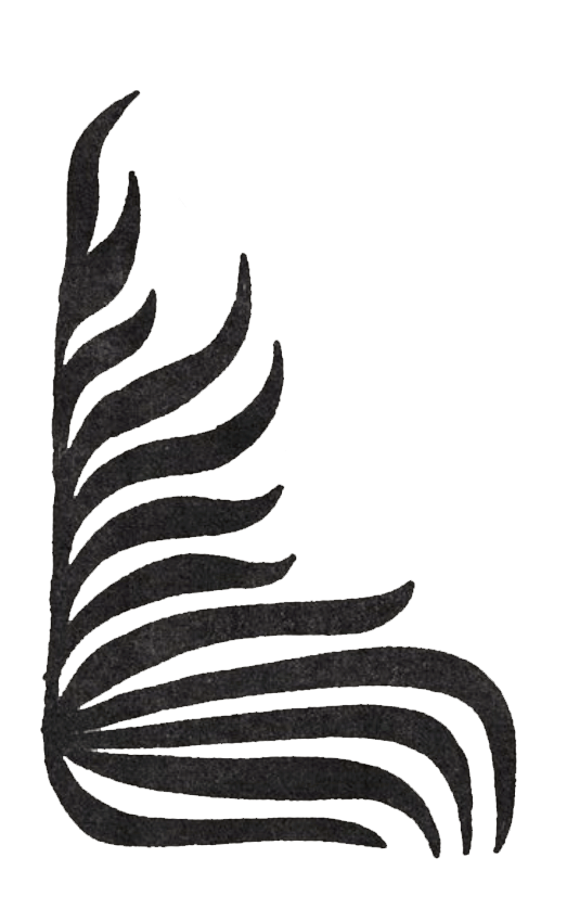 w2.gif