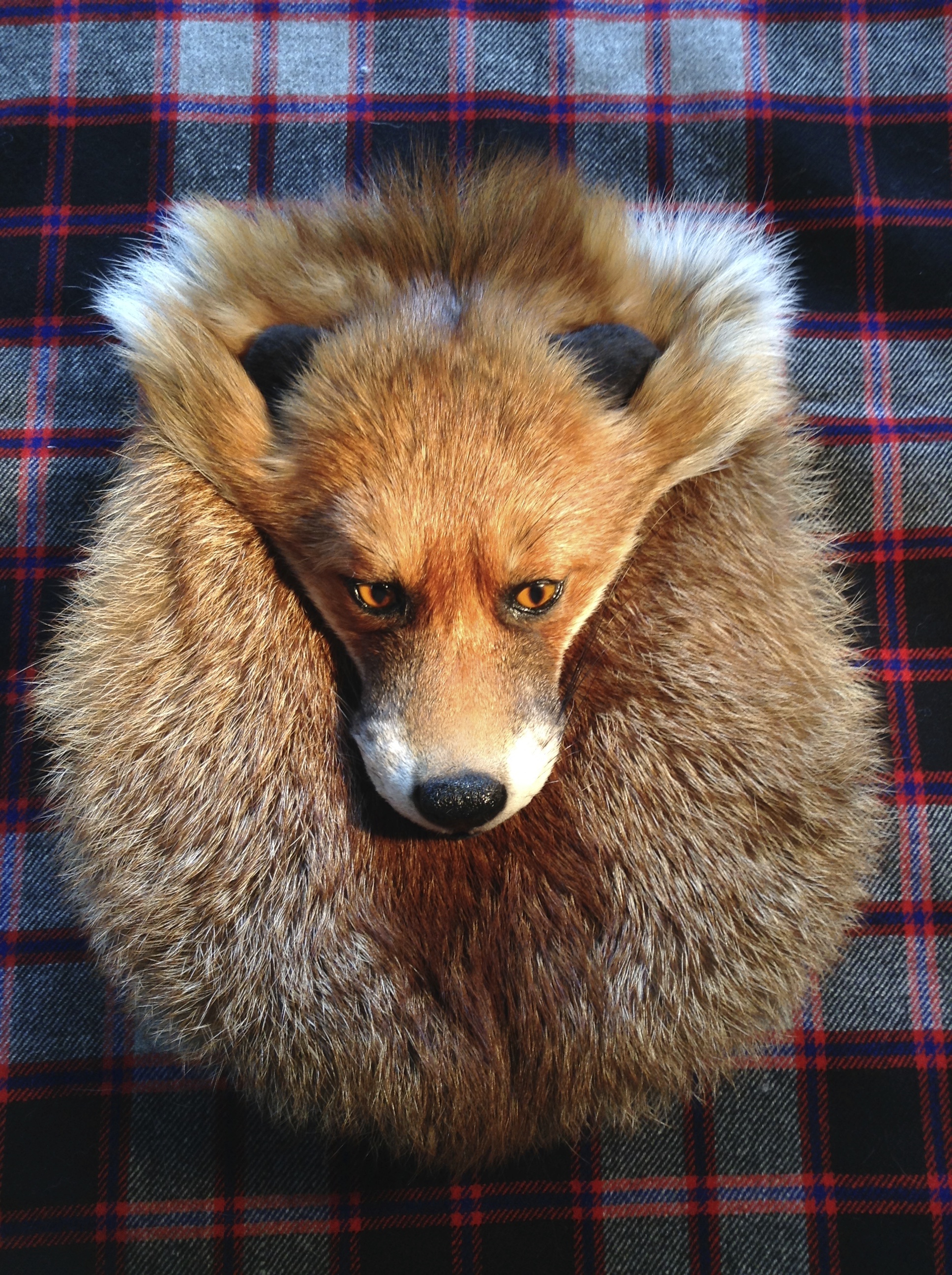 fox head sporran
