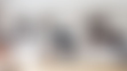 Rodéate de piezas funcionales