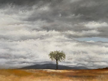 Le Sage arbre, orme dans un champ