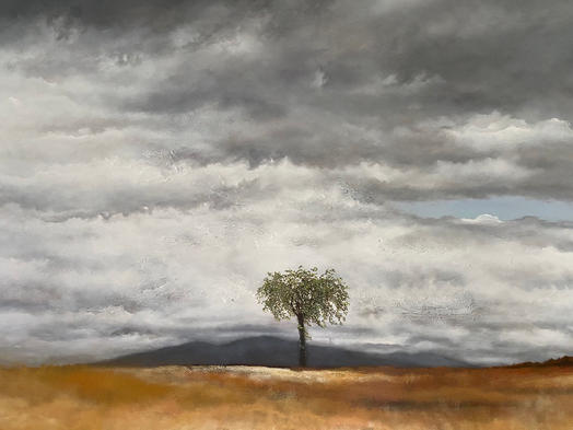 Le Sage arbre, orme dans un champ