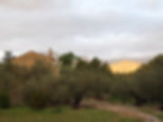 IMG_1043.jpeg