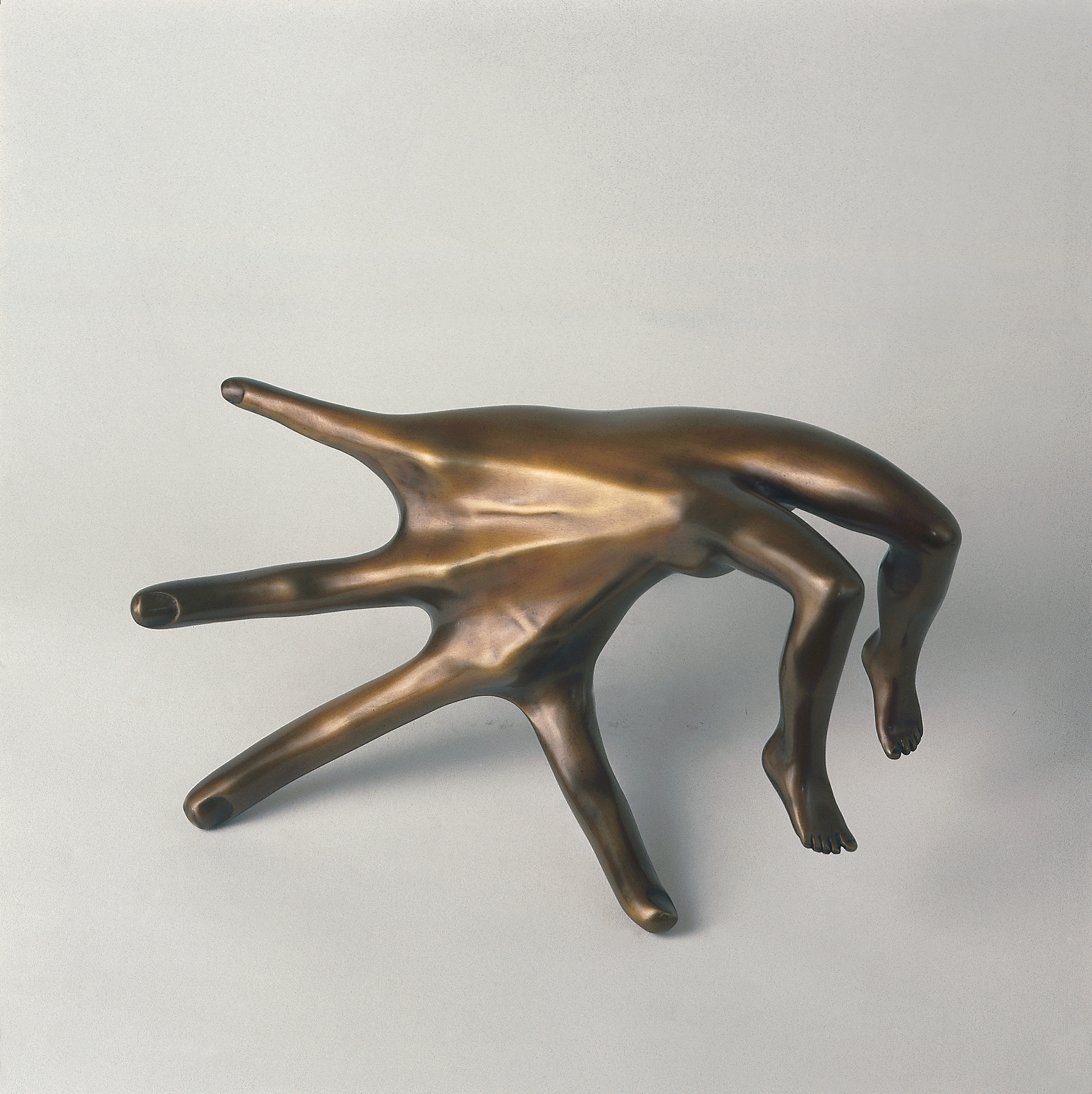 AMBULANT HAND