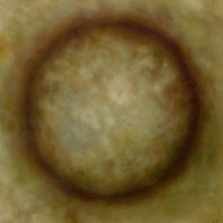 Sphere-cinetique-grise-helene-fleury