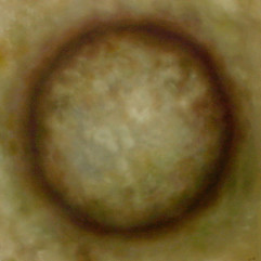 Sphere-cinetique-grise-helene-fleury