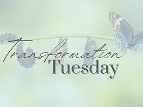 Transformed by Perseverance