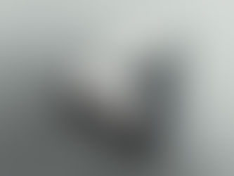 POR QUE REPETIMOS OS MESMOS ERROS?