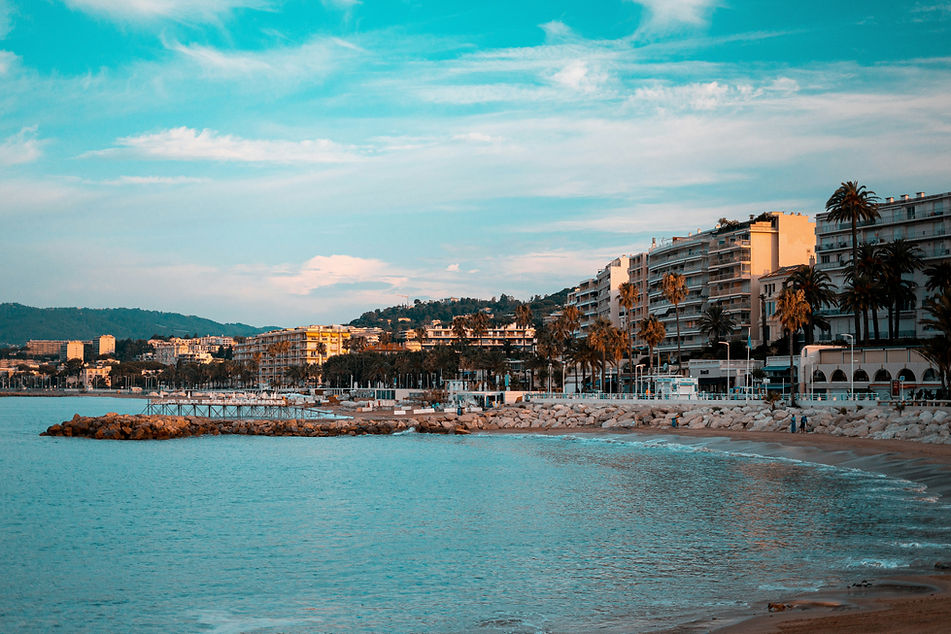 alexis-amz-da-cruz-nfpNVzOG0rs-unsplash.jpg