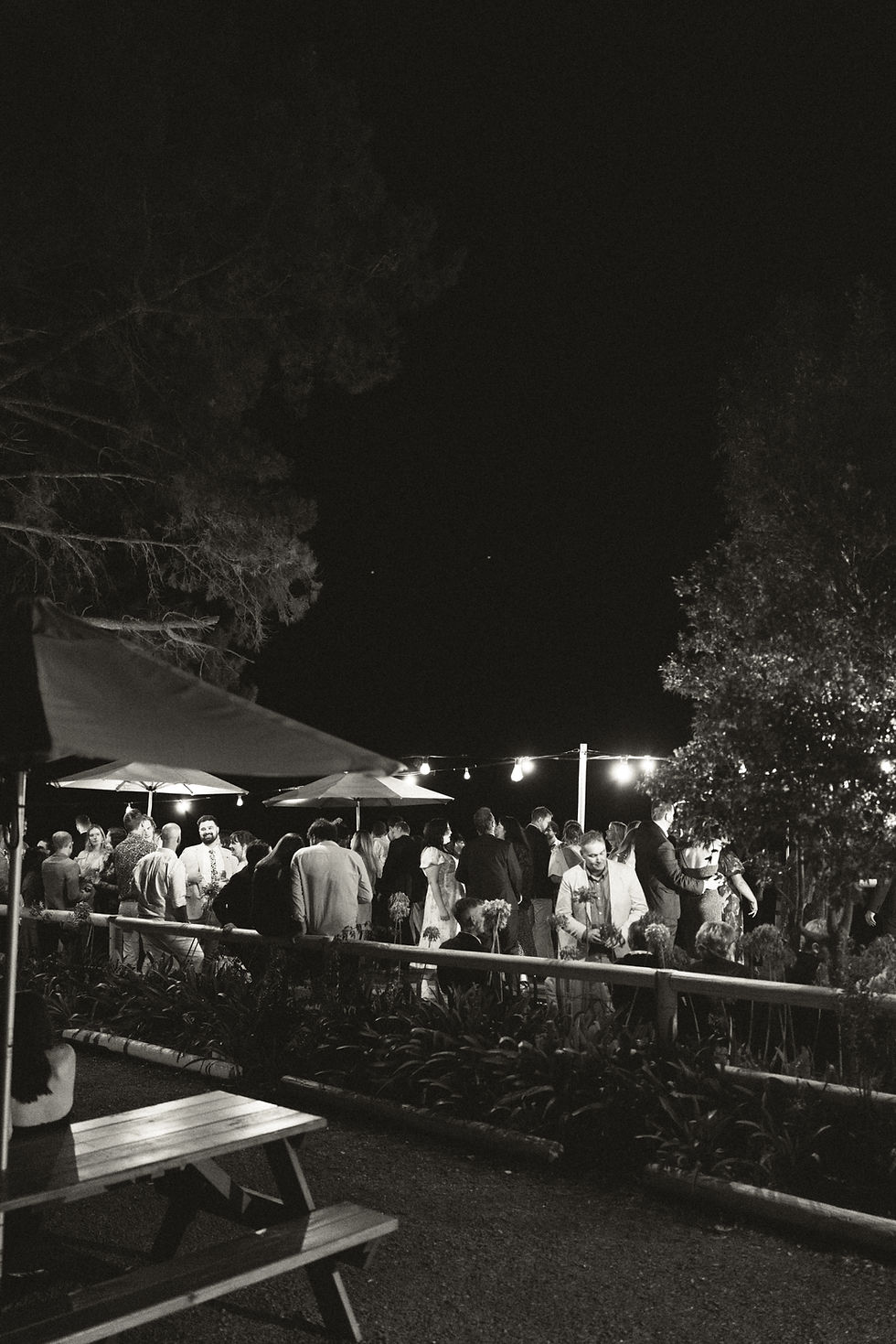 People mingling outdoors at night under string lights and umbrellas, with trees in the background. Mood is lively and social. Black and white.