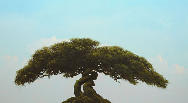 Varada, 2014, by Robert Marchessault, oil/canvas, 47" x 84". Vancouver