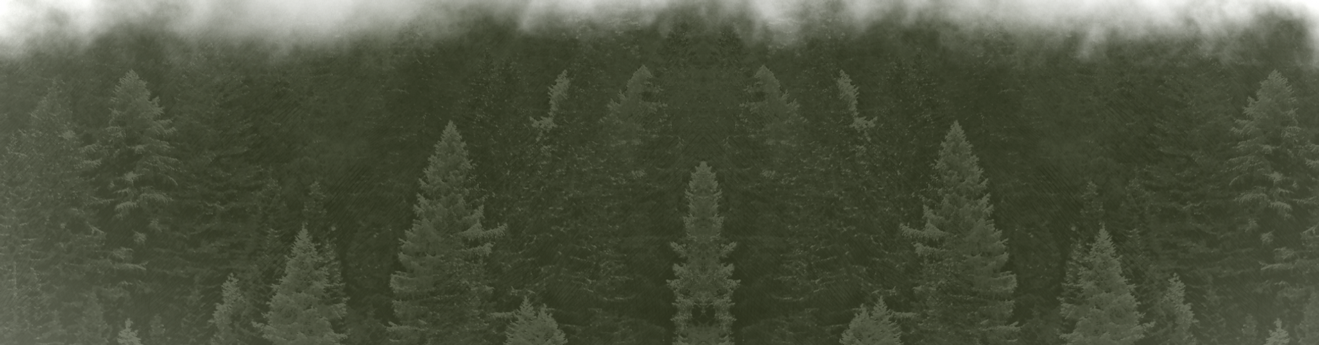Background 4_2x_edited.png