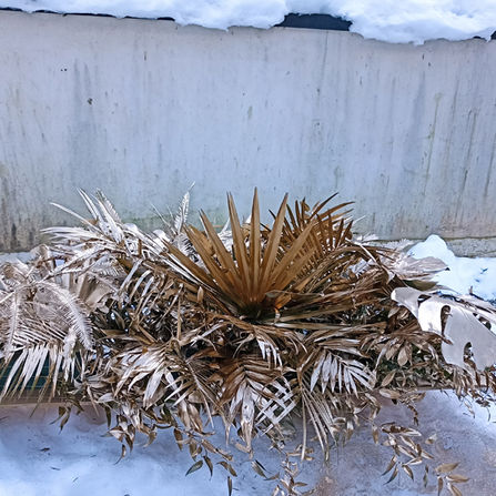 Savoir prévoir les imprévus ? - 177