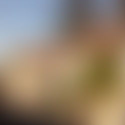 Destination 6 : Vernon - 98