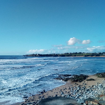 Lumière d'hiver en Bretagne - 121