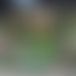 Premier contrat - 131