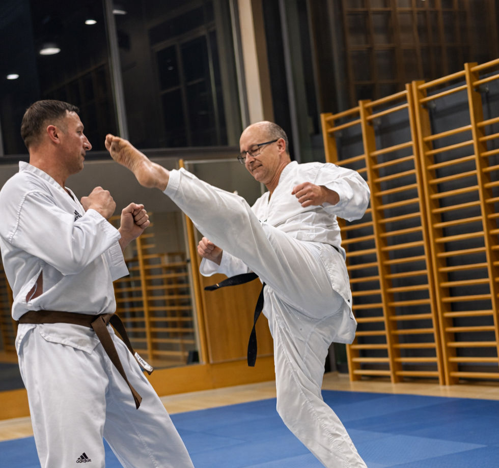 Kampfbild TKD.JPG