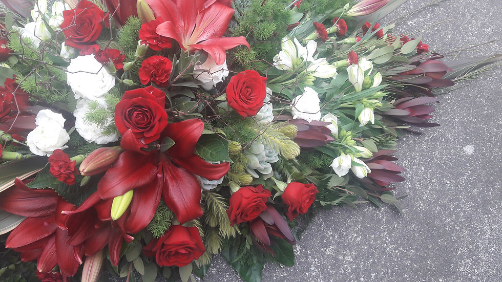 Red and White Spray 5