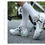 Miniatura: Scarpe da ciclismo autobloccanti con Clip