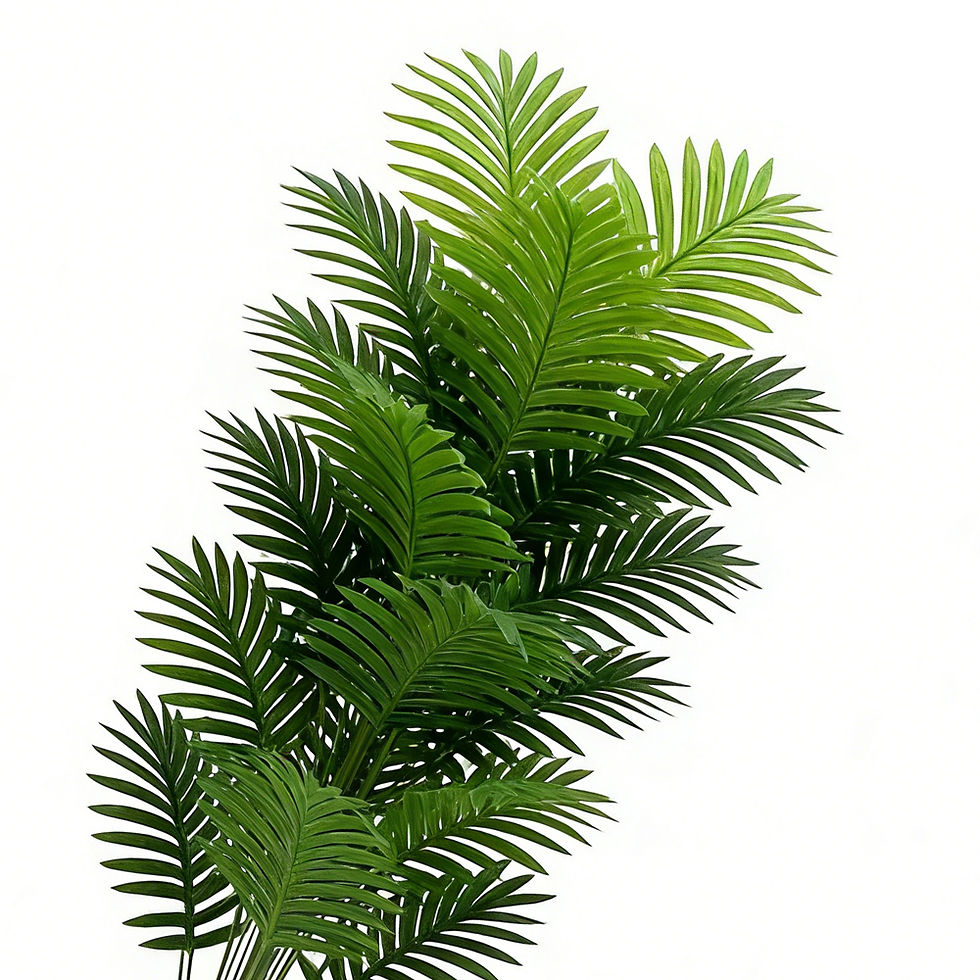 Miniatura: Palma artificiale alta 60-80 cm, finta pianta di Monstera, rami in plastica, fog