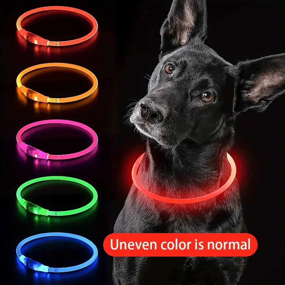 Collare luminoso a LED per cani anti-smarrimento ricaricabile tramite USB