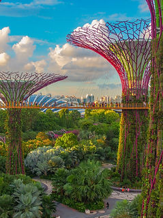 coleen-rivas-singapore.jpg
