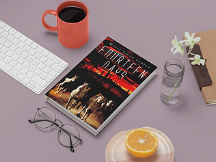 14DAYS MOCKUP ORANGE.png