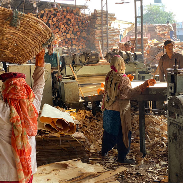 WhatsApp Image 2023-02-06 at 4.35.18 PM.jpeg