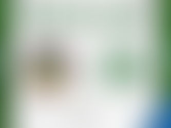 Forderndes Match - Die Auswahl vs. FC Soninkara