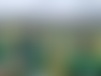 MSL Nutthingham Forest - Die Auswahl