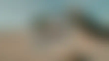 Make Hollywood great again