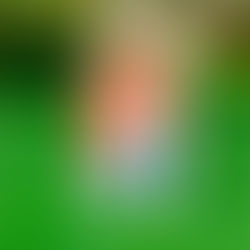 Laura Malin Of Malin Entertainment: 5 Things You Need to Know to Become a Great Author