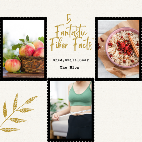 5 Fantastic Fiber Facts