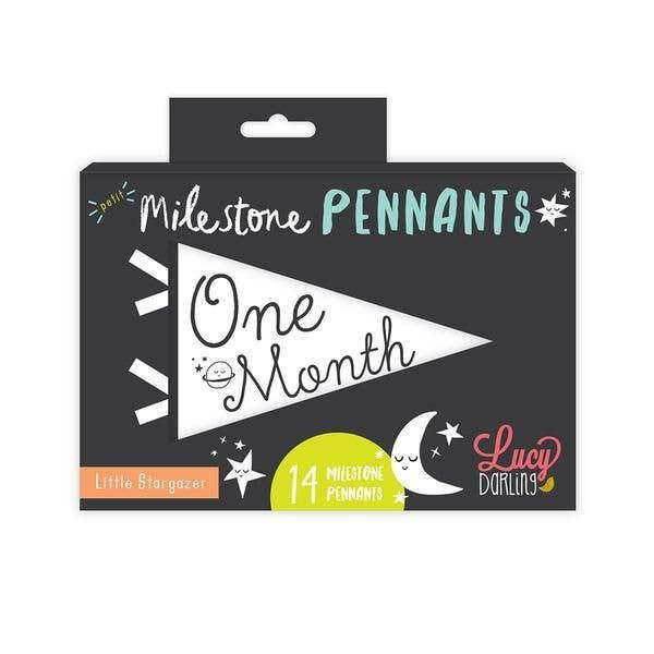 Thumbnail: Lucy Darling - Little Camper Petit Milestone Pennant