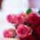 Thumbnail: a dozen pink roses hand tied