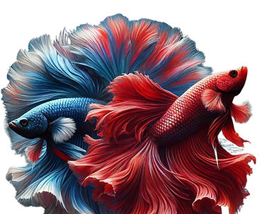 LINE_ALBUM_Landmark Betta_250916_33_1_edited.jpg