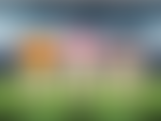 GÖZTEPE YENİDEN LİDERLİĞE YÜKSELDİ