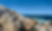 GG Background 2.png