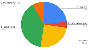 Por tipo de cargo RD.png