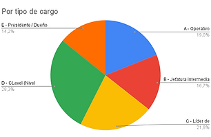 Por tipo de cargo SV.png