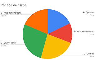 Por tipo de cargo PA.png