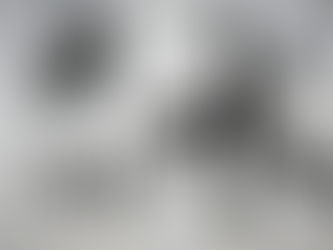 כיסונים מרפאים- חורף