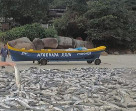 Registro de Comunicação