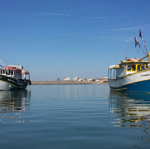 Registro de Comunicação