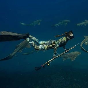 Registro de Comunicação