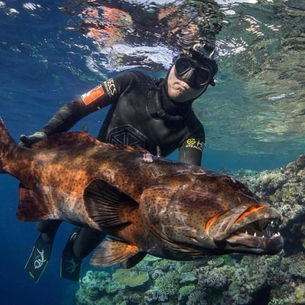 Registro de Comunicação