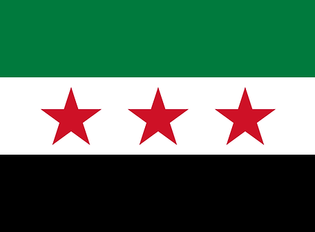 Flag_of_the_Syrian_revolution.svg.png