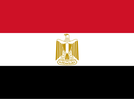 Flag_of_Egypt.svg.png